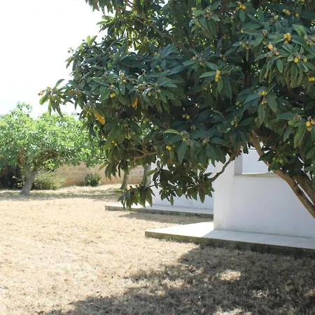 Holiday home Splendida In Baia Verde